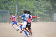 img0129.jpg