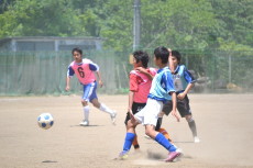 img0130.jpg