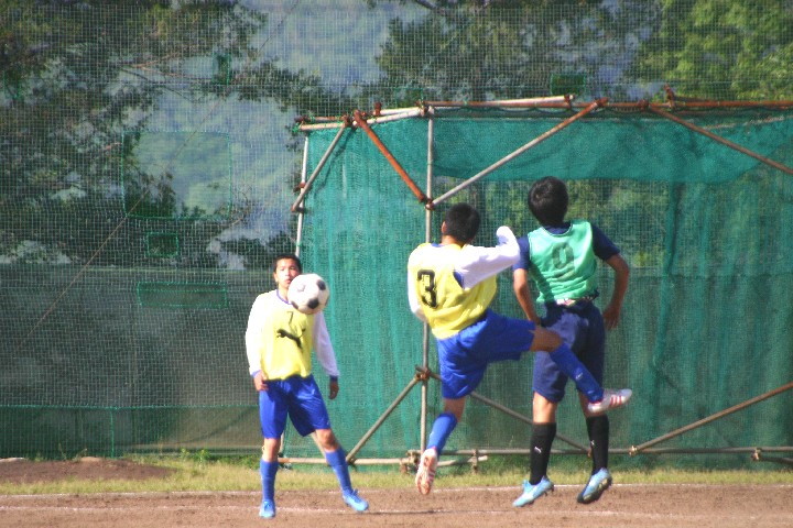 img0208.jpg