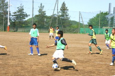 img0007.jpg