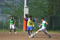 img0049.jpg