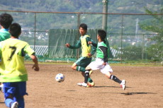 img0061.jpg