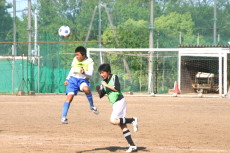 img0170.jpg