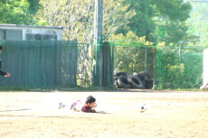 img0242.jpg