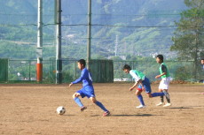 img0246.jpg