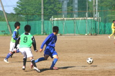 img0263.jpg