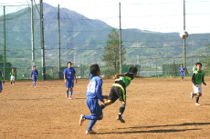img0273.jpg
