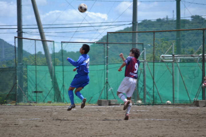 img0048.jpg