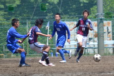 img0036.jpg