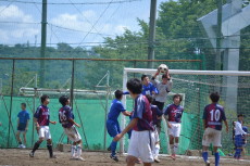 img0061.jpg
