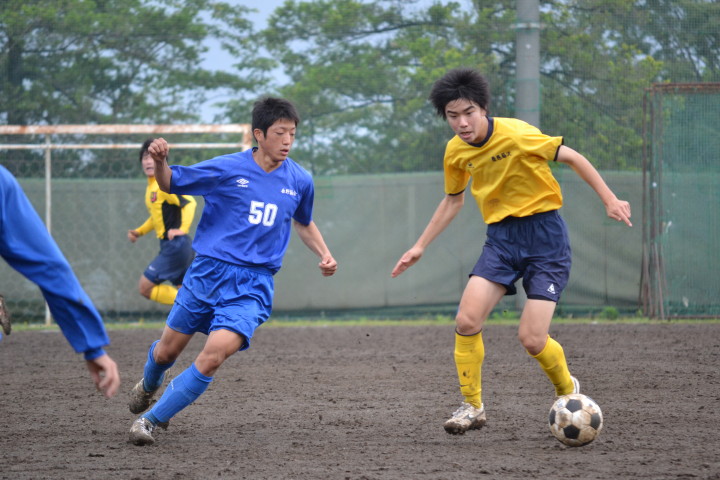 img0003.jpg