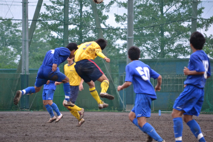 img0031.jpg