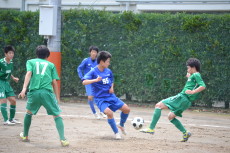 img0027.jpg