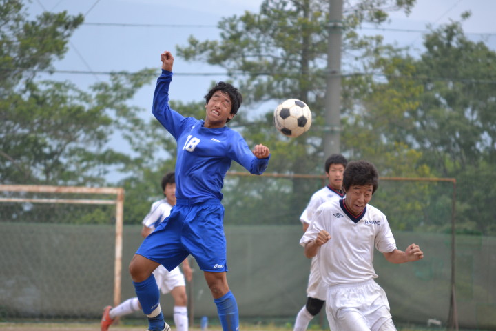 img0003.jpg