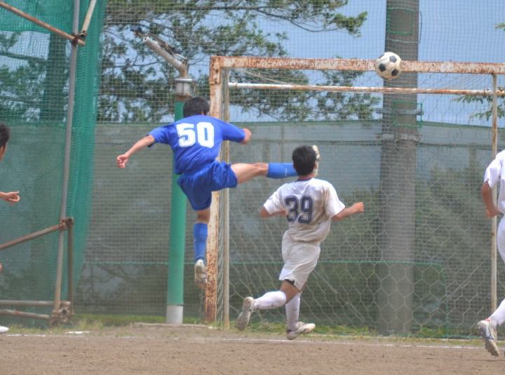 img0015.jpg