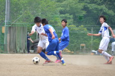 img0053.jpg