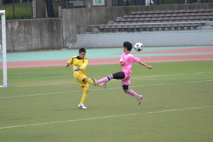 img0006.jpg