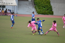 img0003.jpg