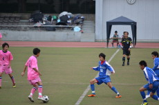img0031.jpg