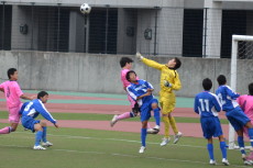 img0036.jpg