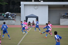 img0041.jpg