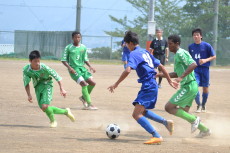 img0011.jpg