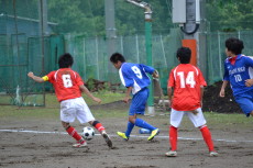 img0004.jpg
