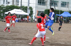 img0042.jpg