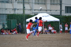 img0050.jpg