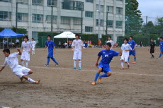 img0011.jpg