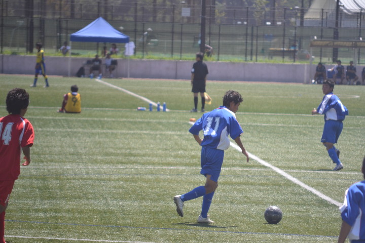 img0036.jpg