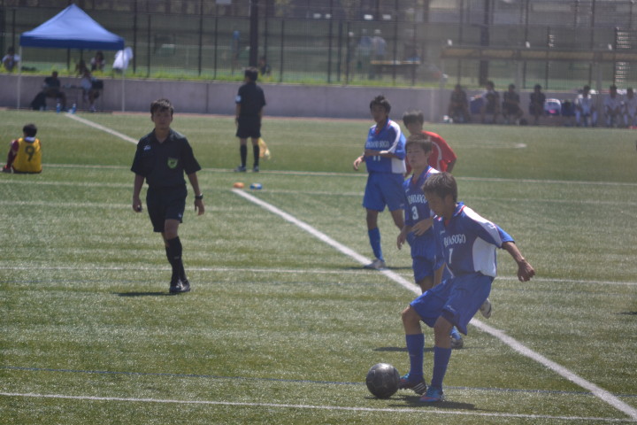 img0037.jpg