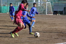 img0005.jpg