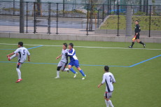 img0031.jpg
