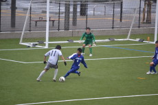 img0046.jpg