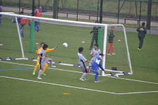 img0049.jpg