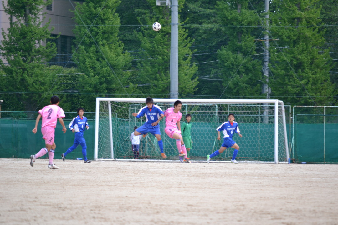 img0009.jpg
