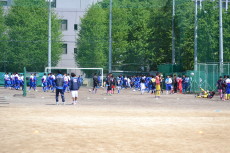 img0002.jpg