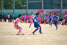 img0029.jpg