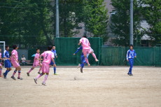 img0048.jpg