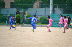 img0073.jpg
