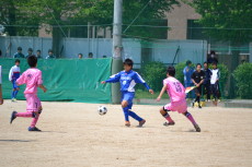 img0085.jpg