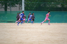 img0087.jpg
