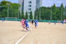 img0100.jpg