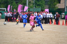 img0106.jpg