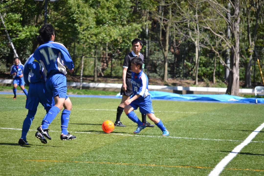 img0015.jpg