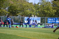 img0007.jpg