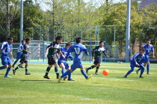 img0009.jpg
