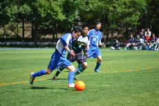 img0013.jpg