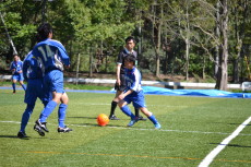 img0015.jpg